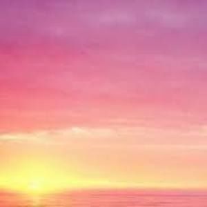 Meet your Posher, Suzanne